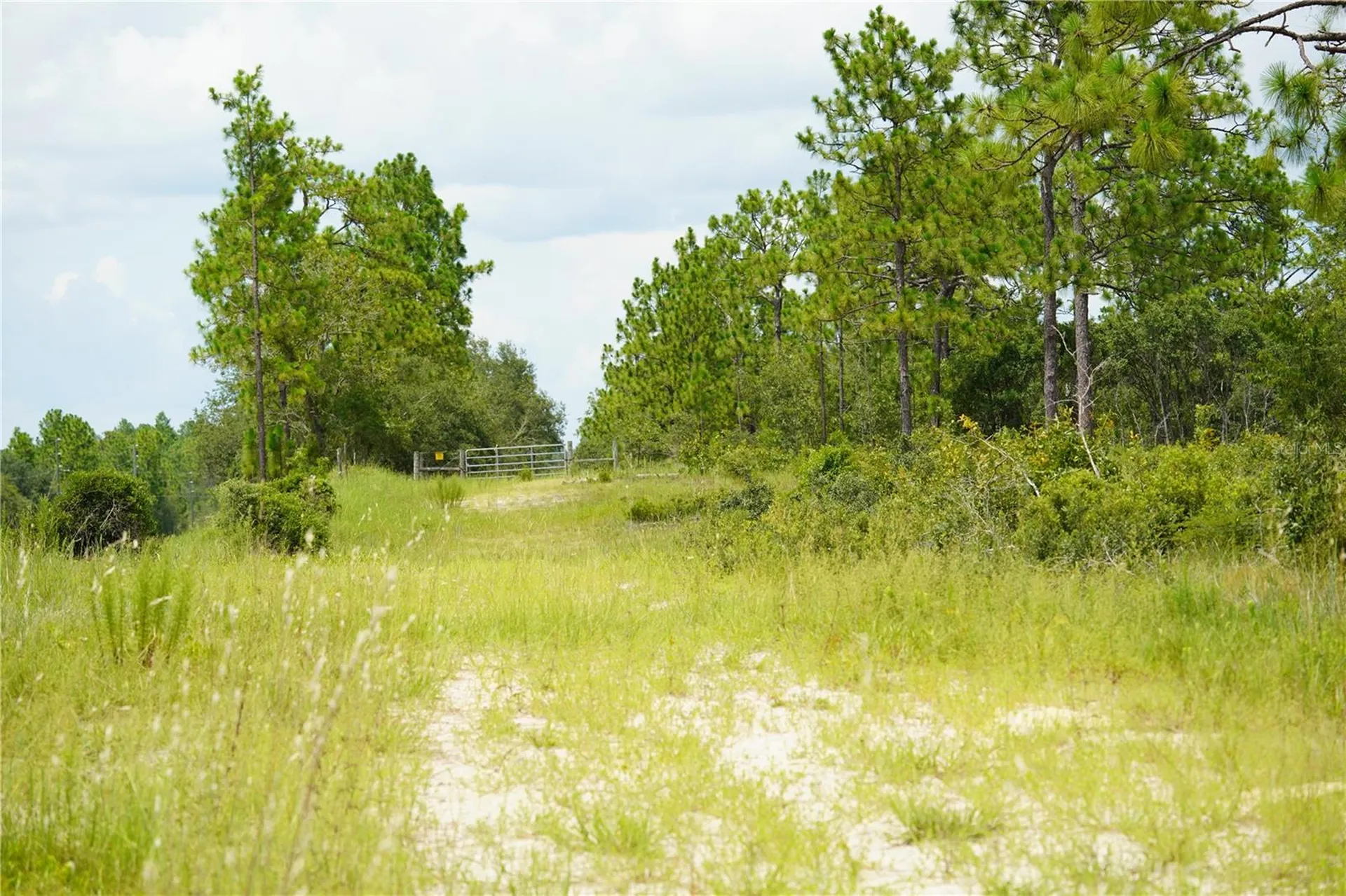 SE State Road 121 Lot C & D Morriston FL 32668