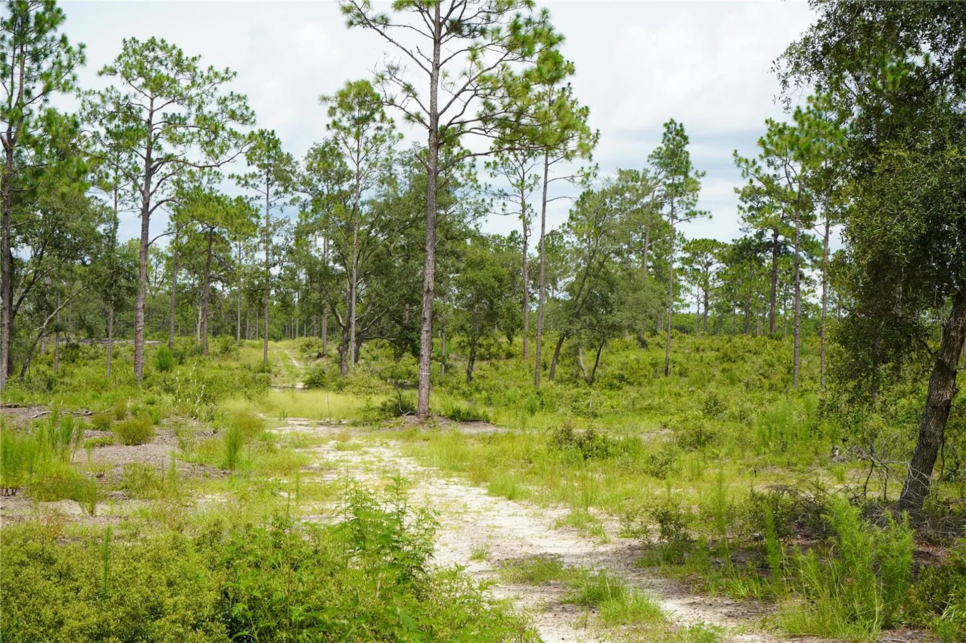 SE State Road 121 Lot C & D Morriston FL 32668