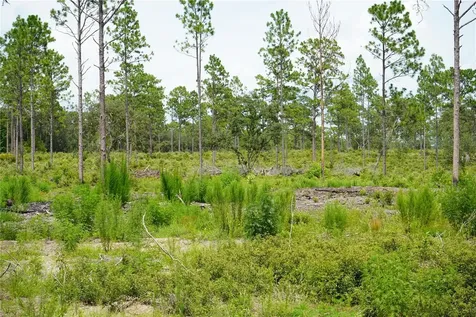 SE State Road 121 Lot C & D Morriston FL 32668
