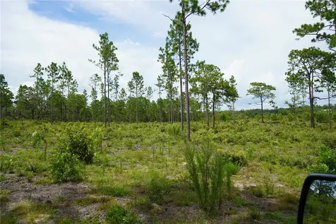 SE State Road 121 Lot C & D Morriston FL 32668