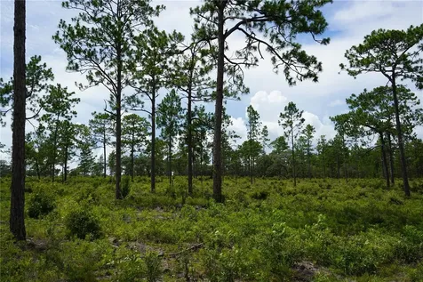 SE State Road 121 Lot C & D Morriston FL 32668