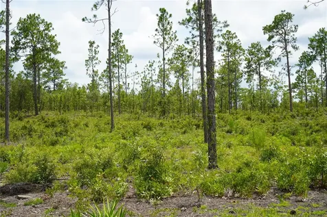 SE State Road 121 Lot C & D Morriston FL 32668