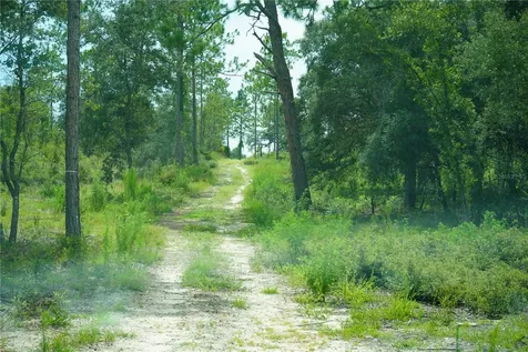 SE State Road 121 Lot C & D Morriston FL 32668