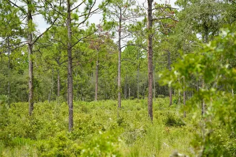 SE State Road 121 Lot C & D Morriston FL 32668
