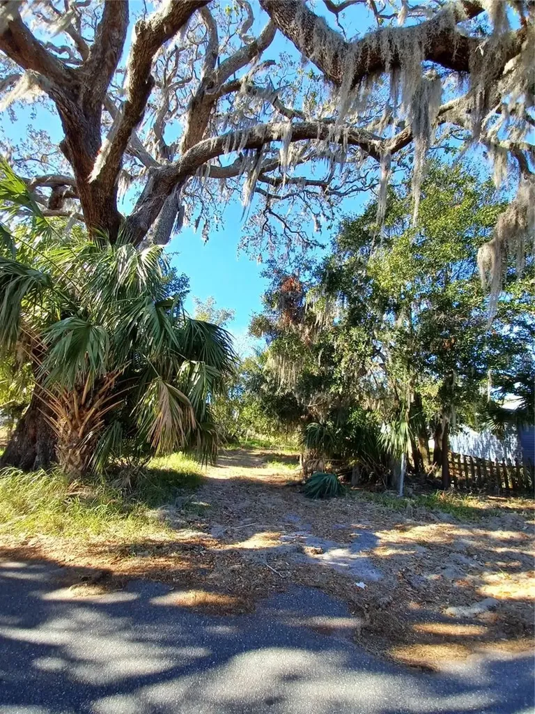 Mike Street Leesburg FL 34748