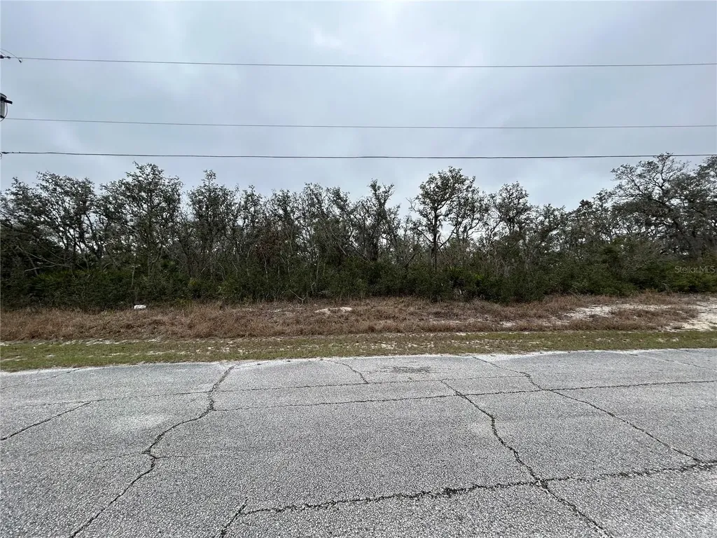 509 Sarasota Lane Kissimmee FL 34759