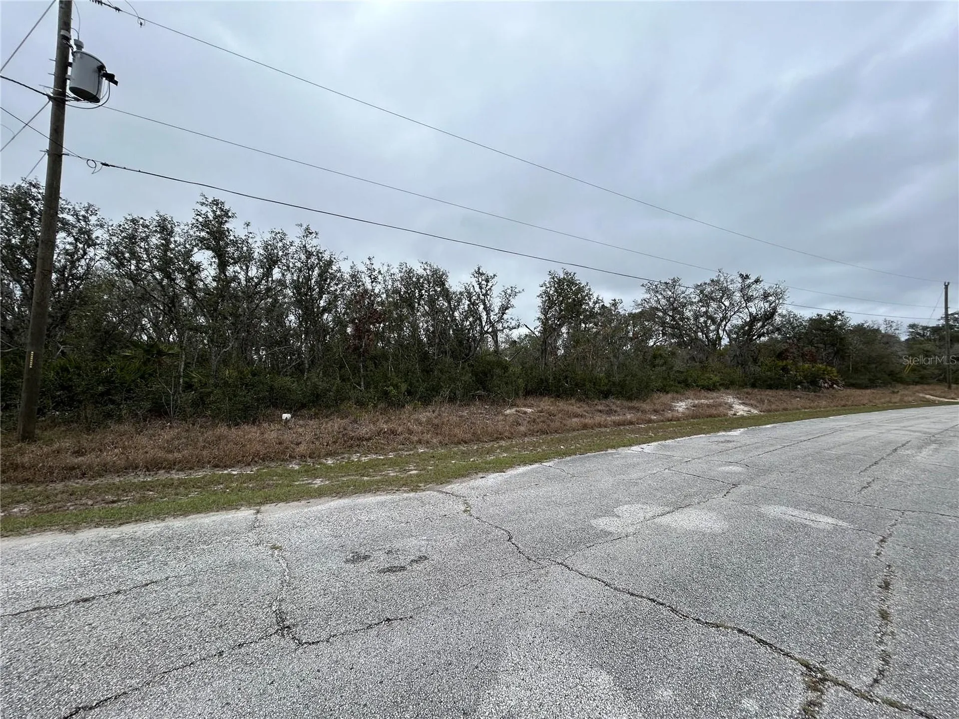509 Sarasota Lane Kissimmee FL 34759