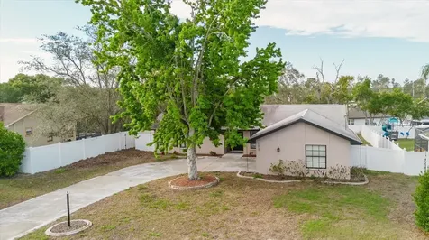 2427 Comerwood Drive Spring Hill FL 34609