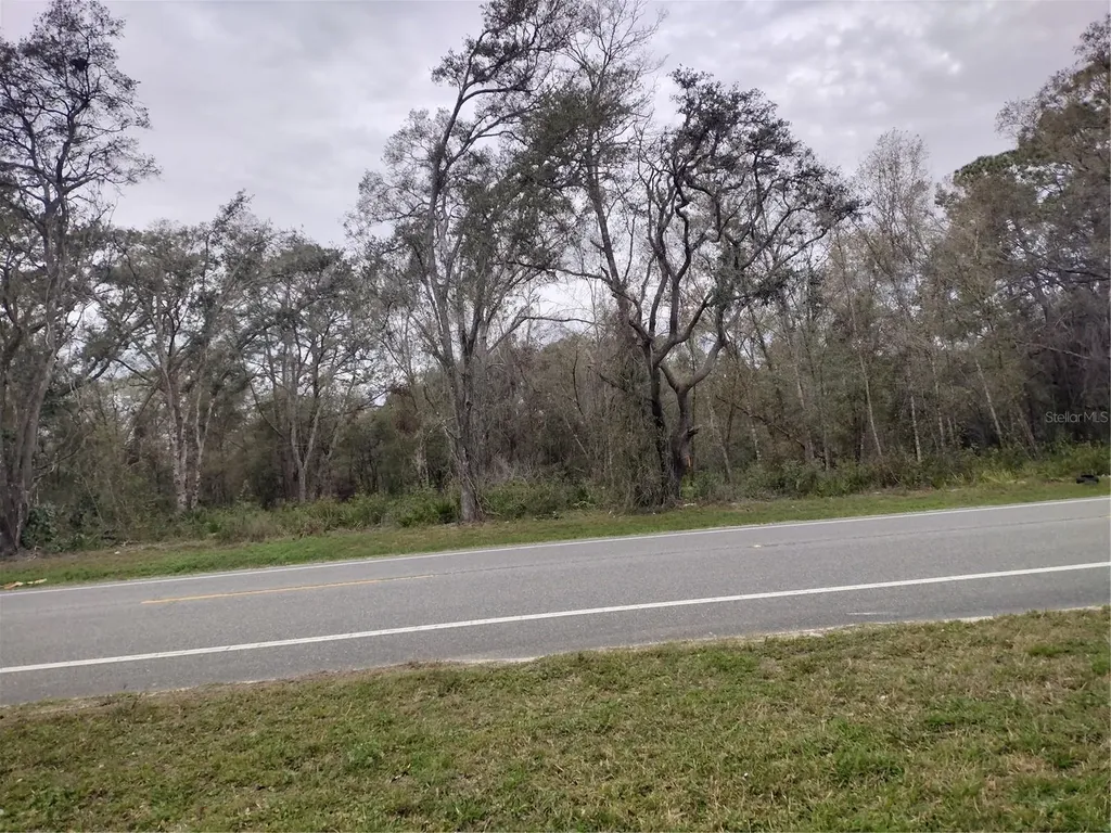 Treiman Boulevard Webster FL 33597