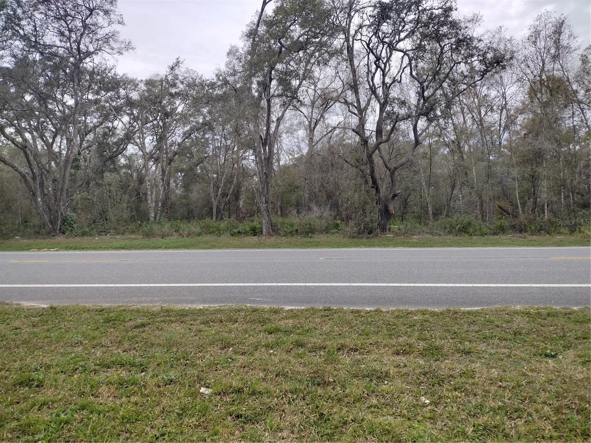 Treiman Boulevard Webster FL 33597