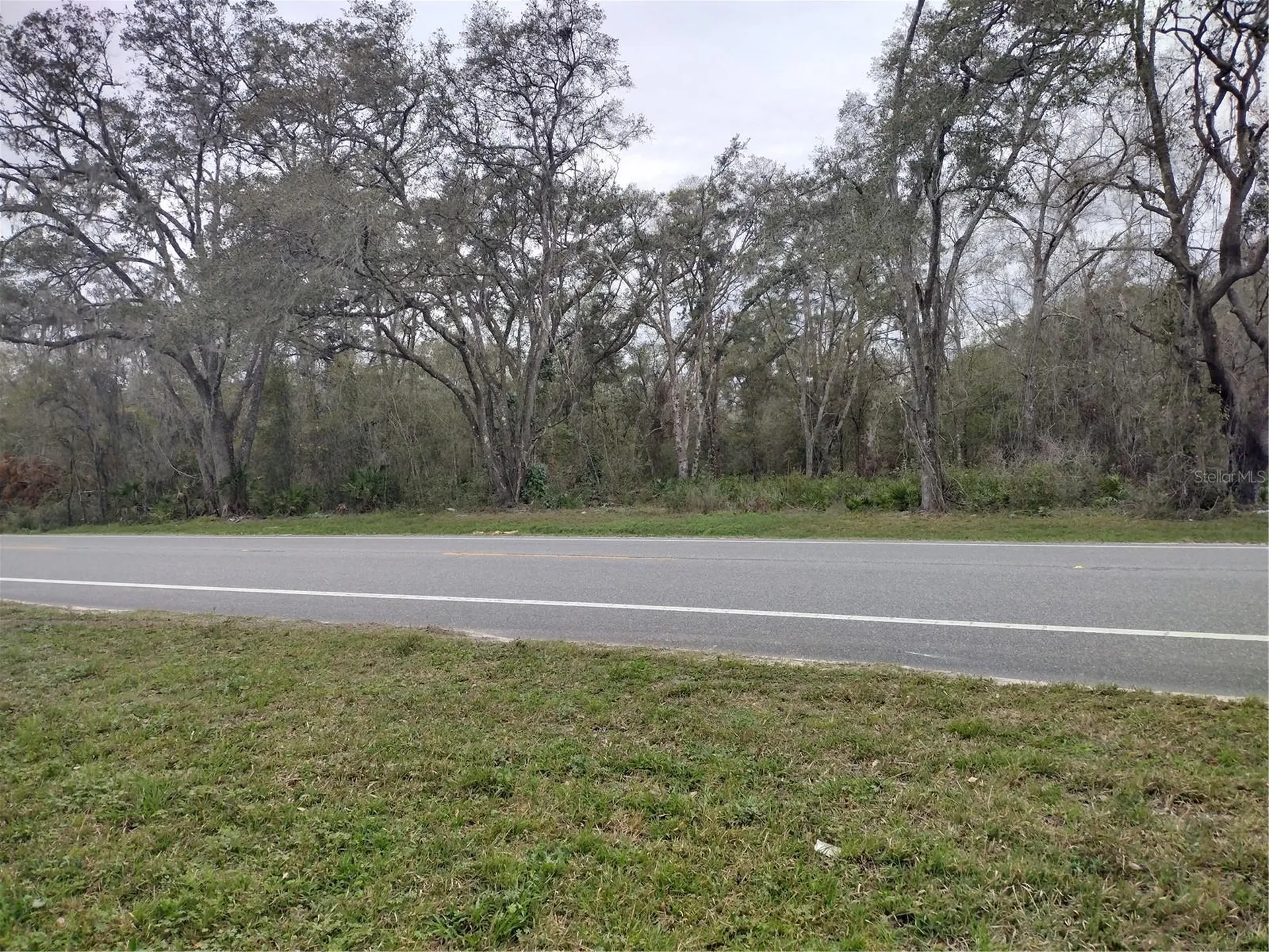 Treiman Boulevard Webster FL 33597