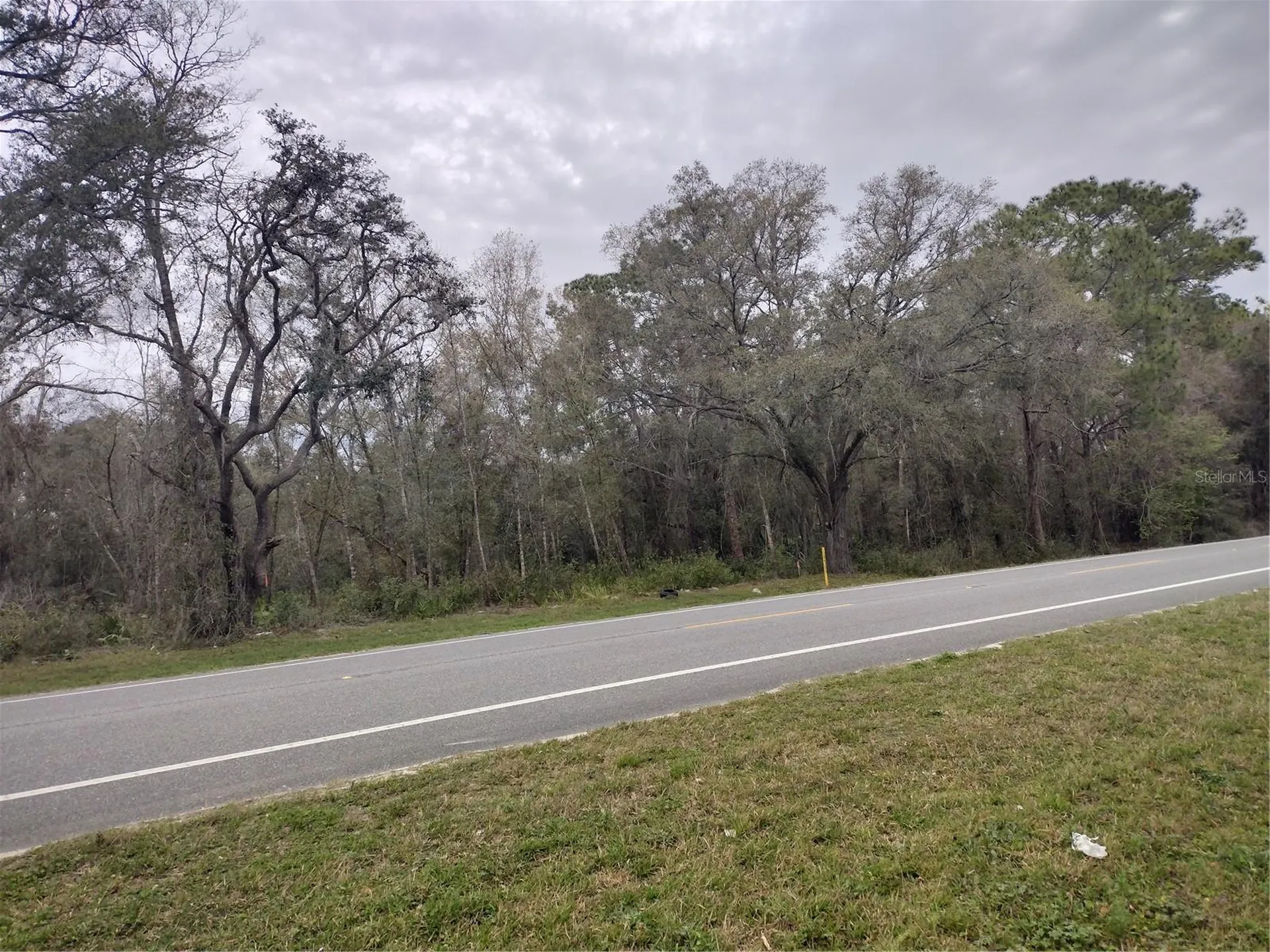Treiman Boulevard Webster FL 33597