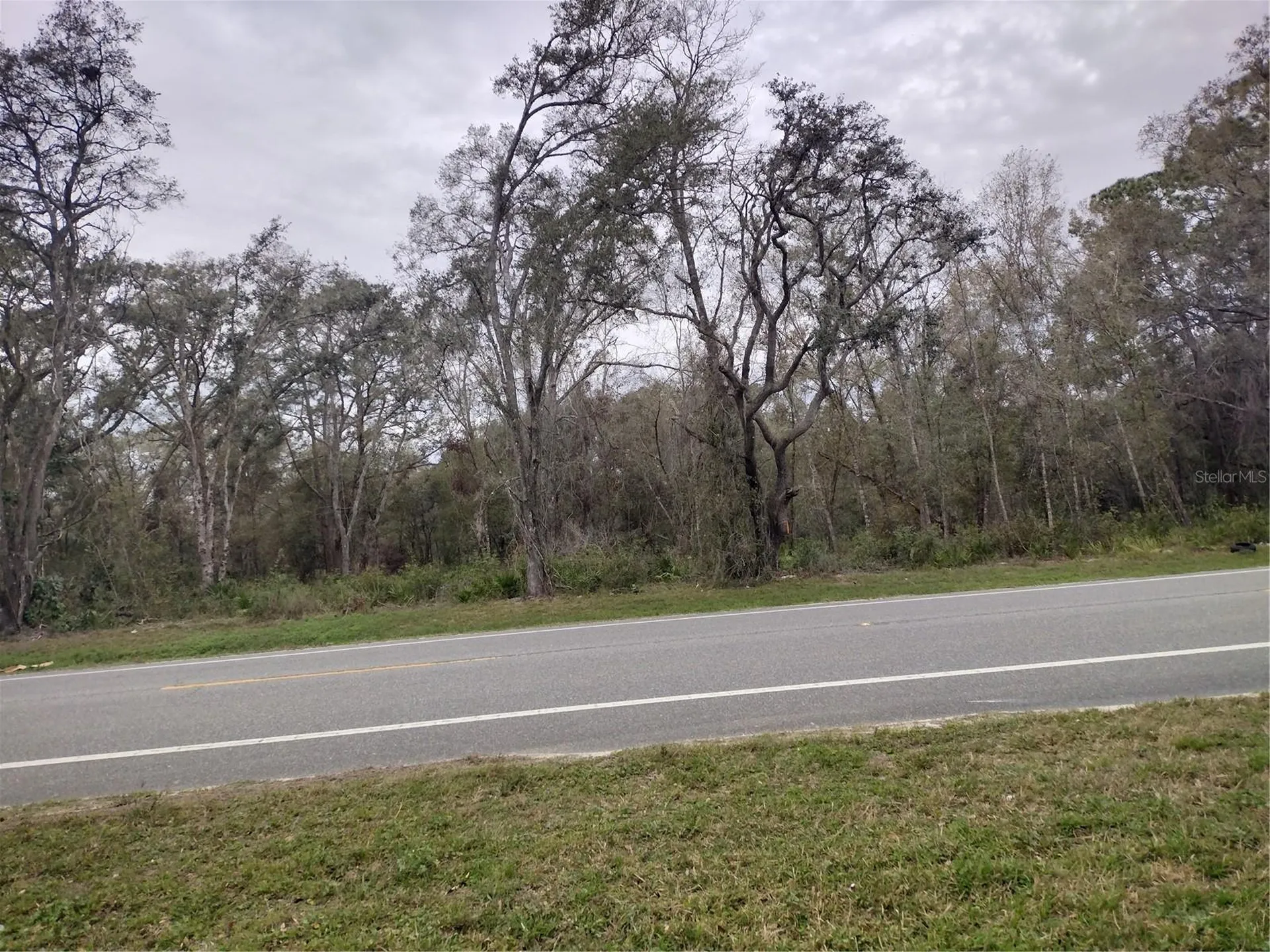 Treiman Boulevard Webster FL 33597