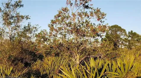 625 N Range Drive Lorida FL 33857