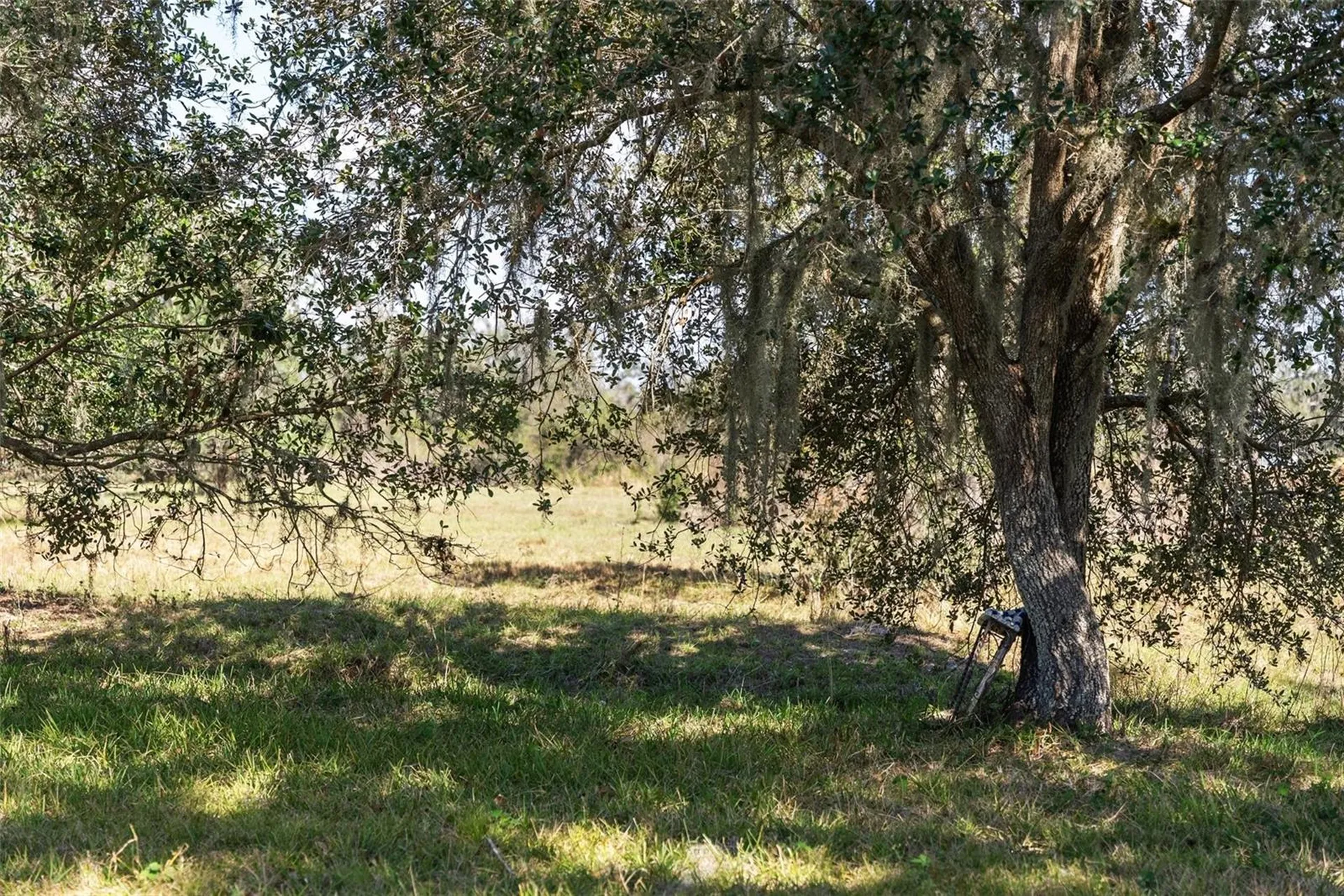 1510 Lena Lane Sarasota FL 34240