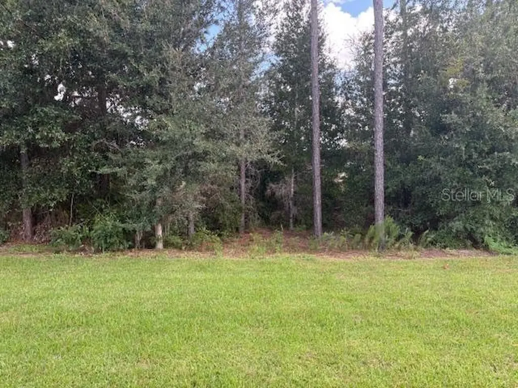 7649 SW 180th Circle Dunnellon FL 34432