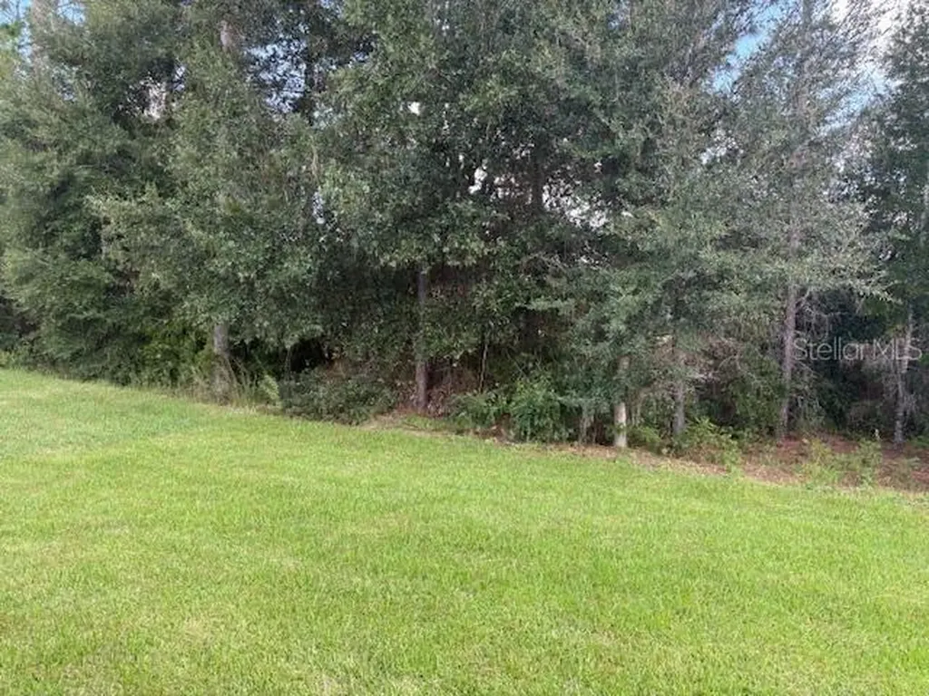 7649 SW 180th Circle Dunnellon FL 34432