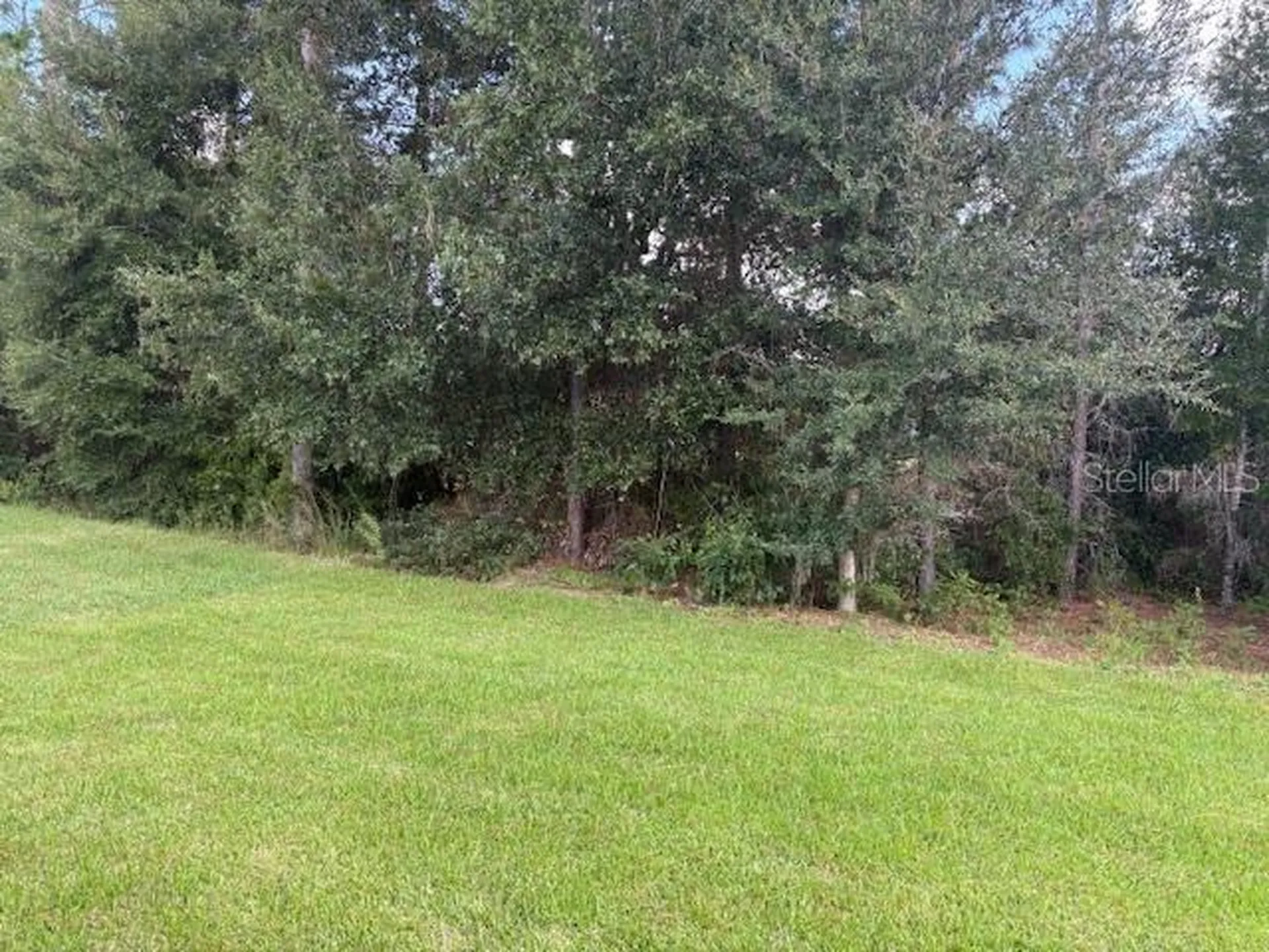 7649 SW 180th Circle Dunnellon FL 34432