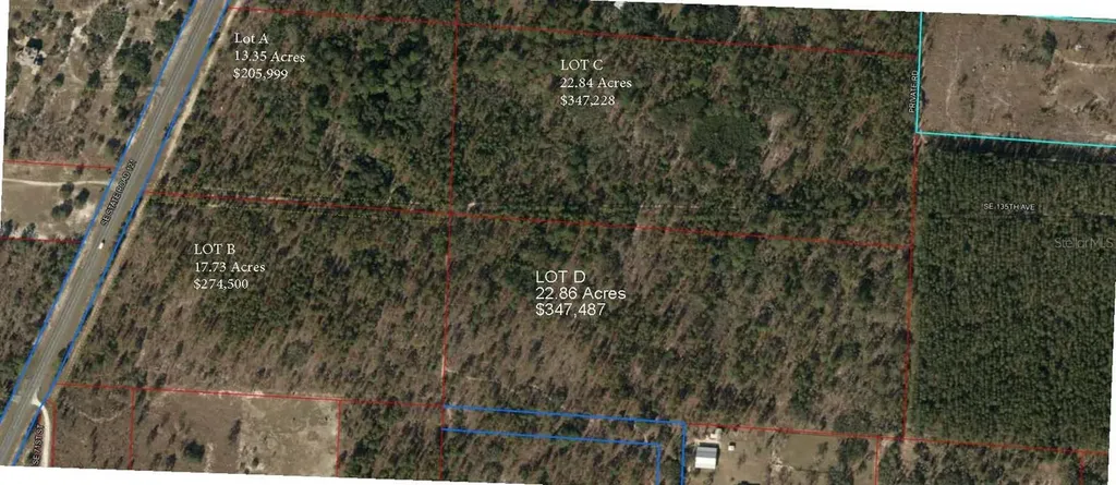 SE State Road 121 Lot A & B Morriston FL 32668