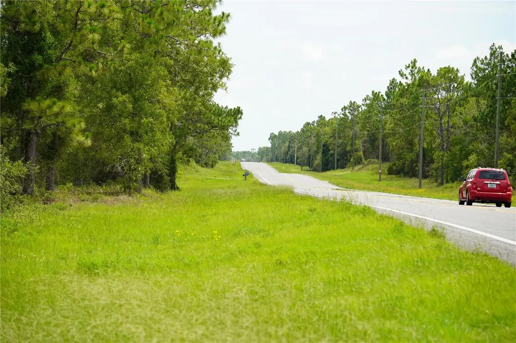 SE State Road 121 Lot A & B Morriston FL 32668