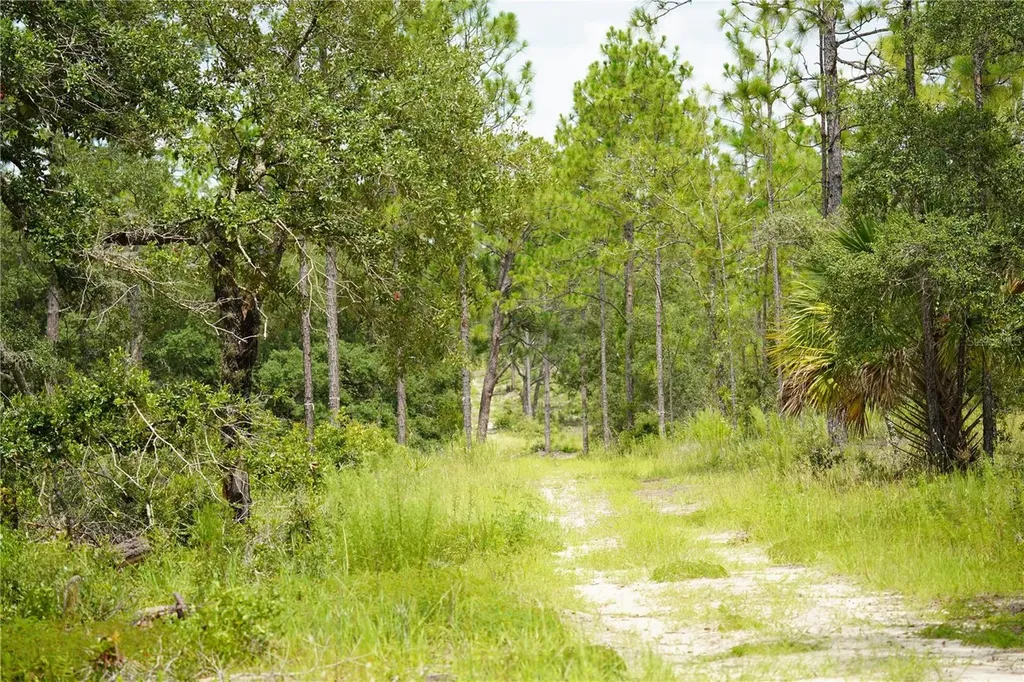 SE State Road 121 Lot A & B Morriston FL 32668