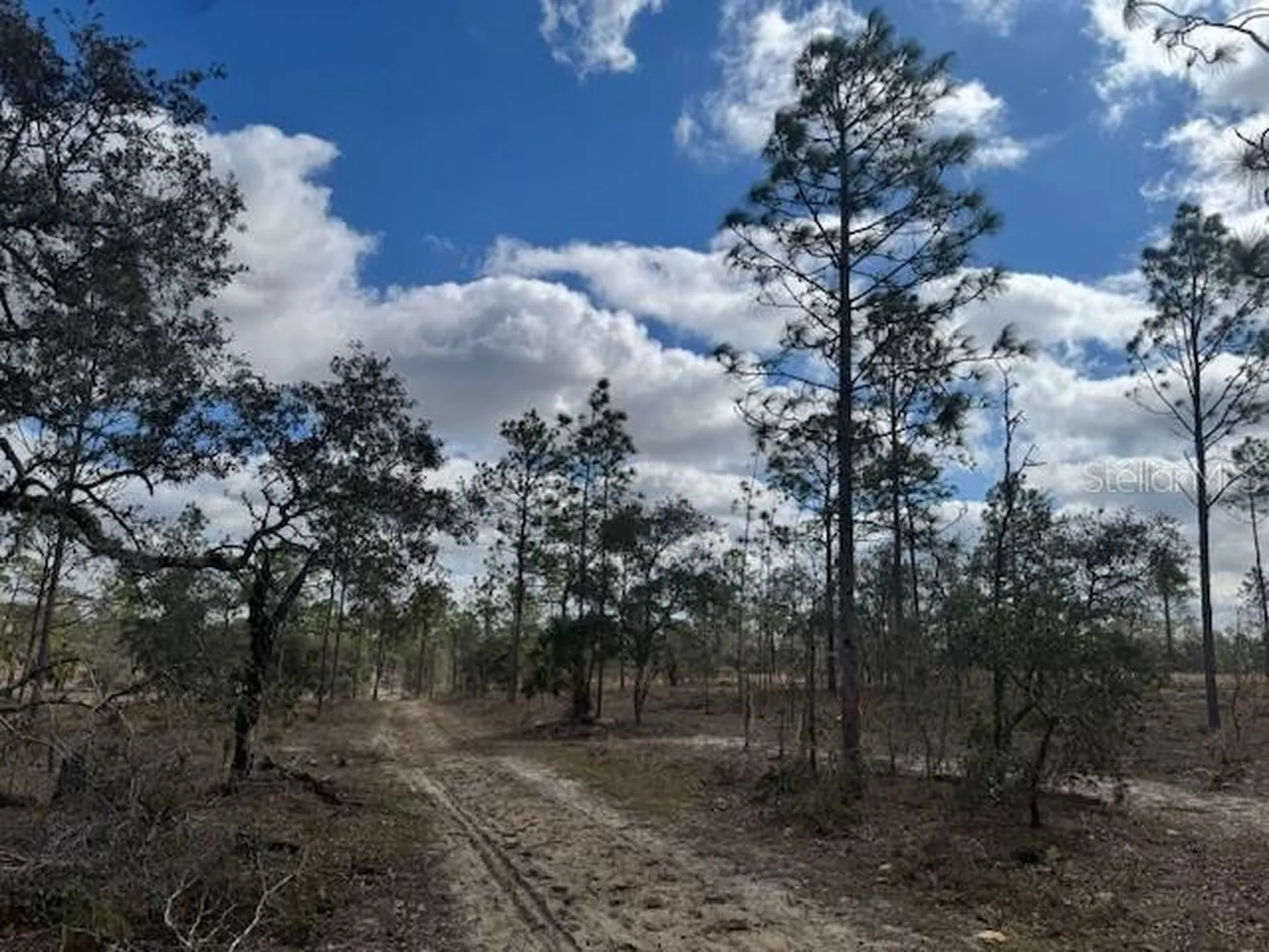 SE State Road 121 Lot A & B Morriston FL 32668