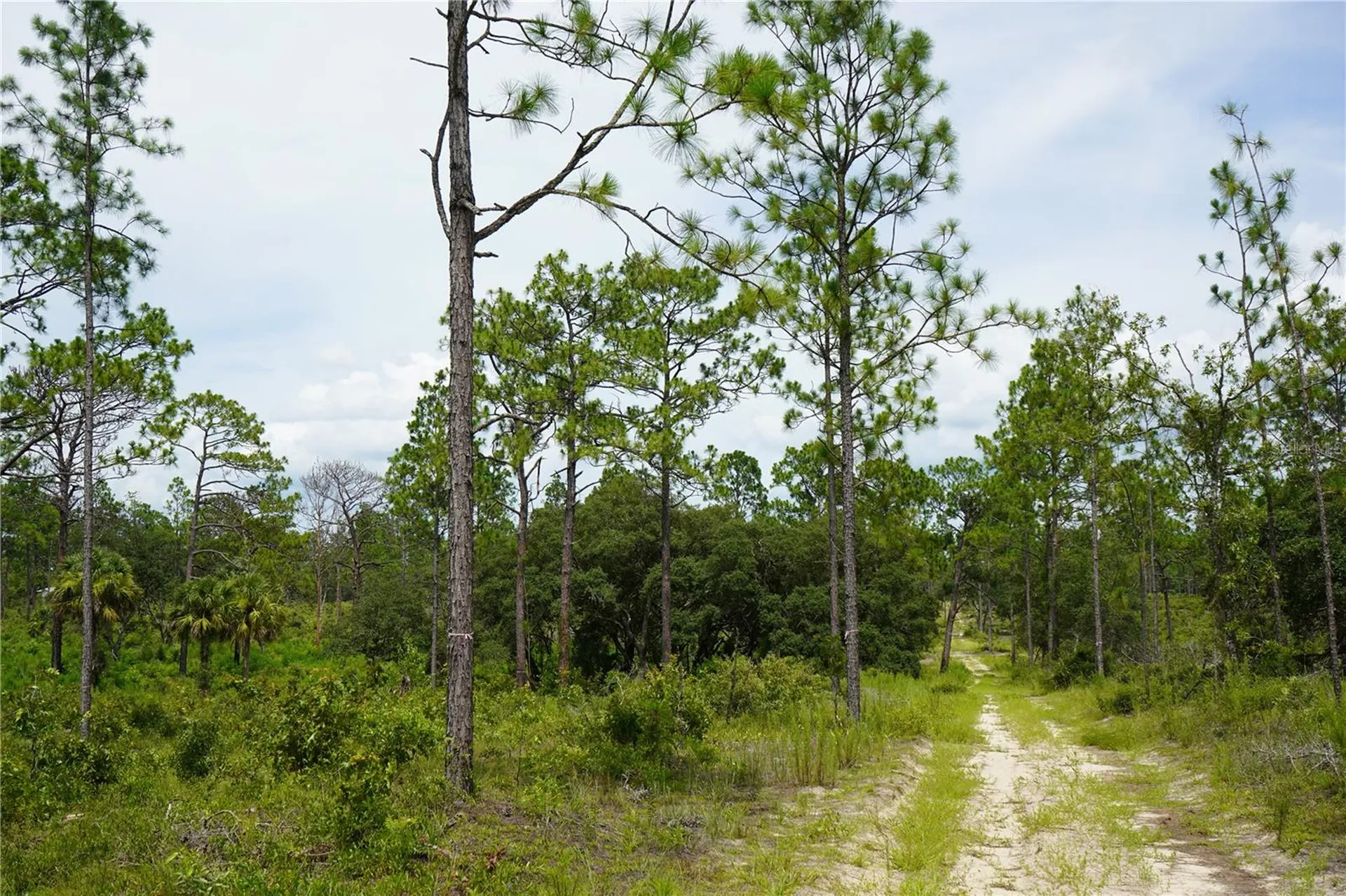 SE State Road 121 Lot A & B Morriston FL 32668
