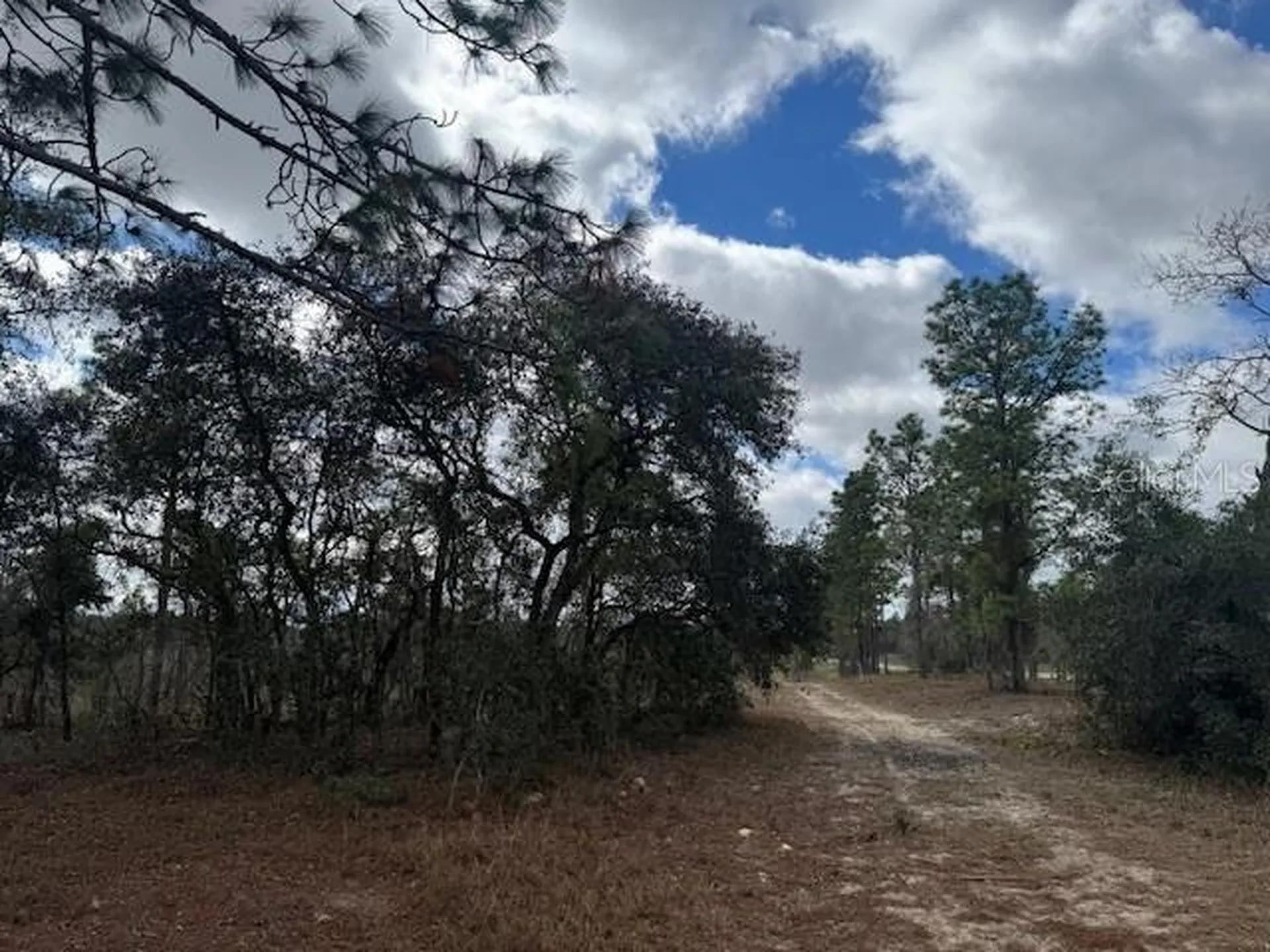 SE State Road 121 Lot A & B Morriston FL 32668