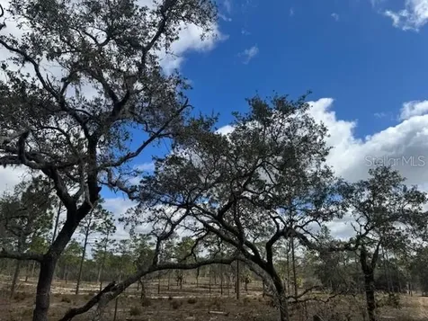 SE State Road 121 Lot A & B Morriston FL 32668