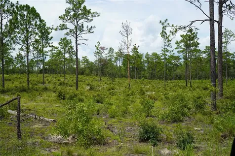 SE State Road 121 Lot A & B Morriston FL 32668