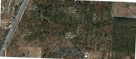 SE State Road 121 Lot A & B Morriston FL 32668