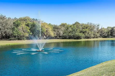 3116 Woodland Fern Drive Parrish FL 34219