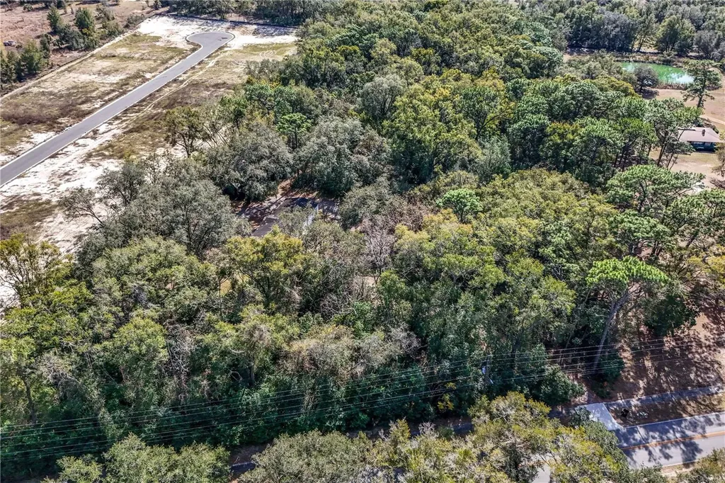 344 W Ponkan Road Apopka FL 32712