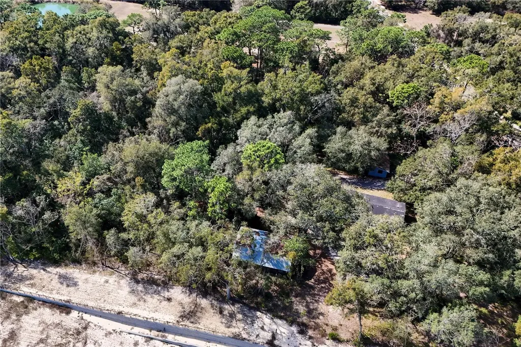 344 W Ponkan Road Apopka FL 32712