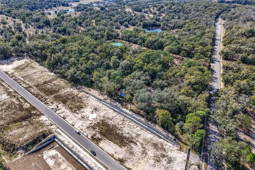 344 W Ponkan Road Apopka FL 32712