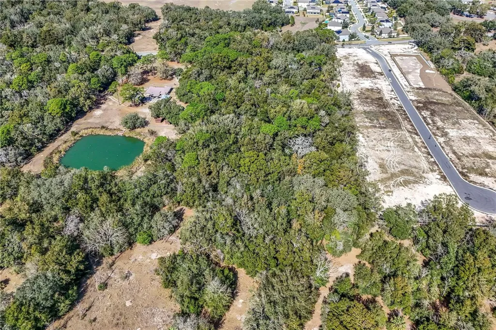 344 W Ponkan Road Apopka FL 32712