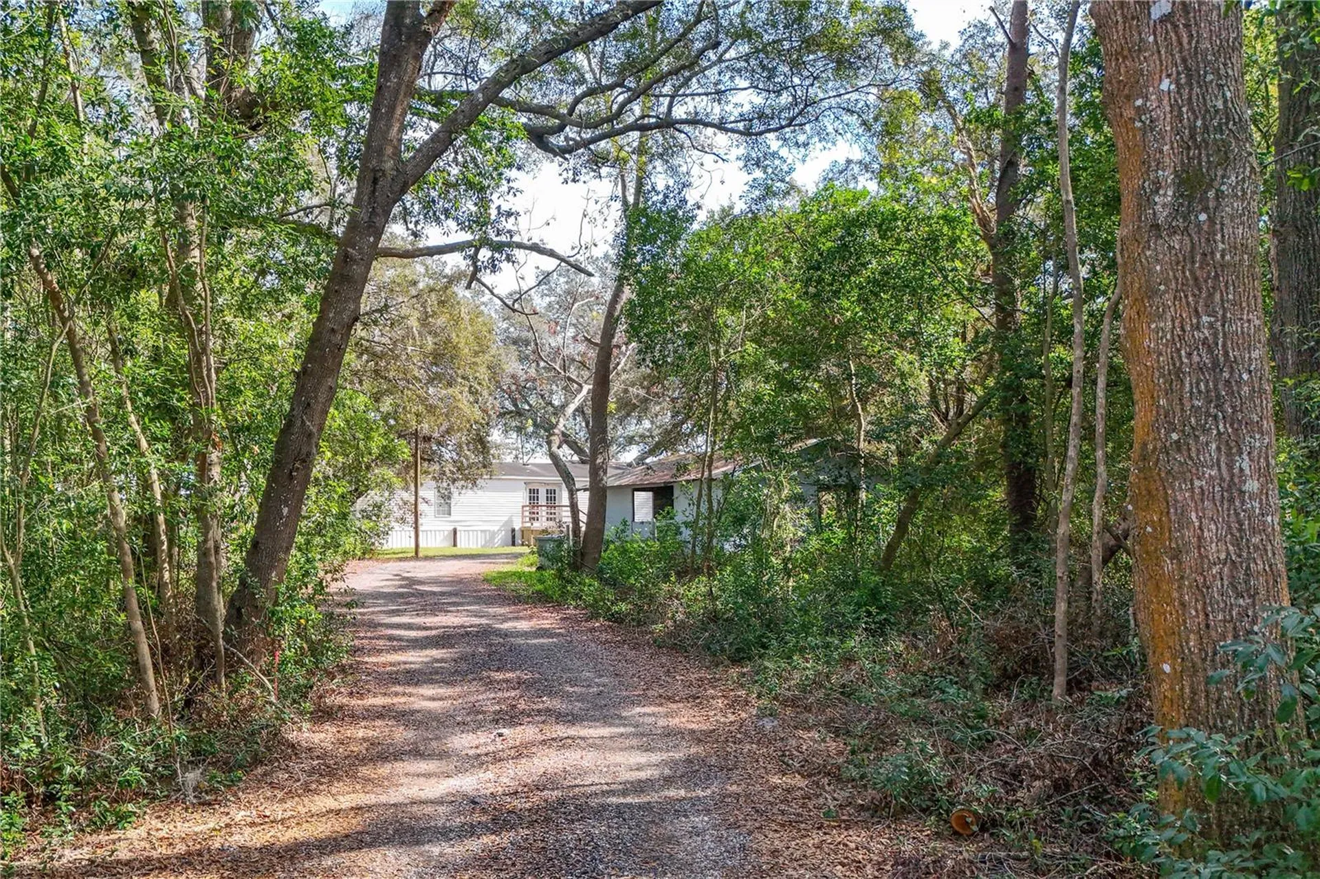 344 W Ponkan Road Apopka FL 32712