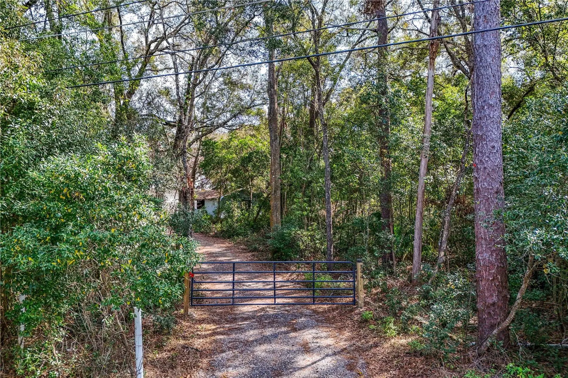 344 W Ponkan Road Apopka FL 32712