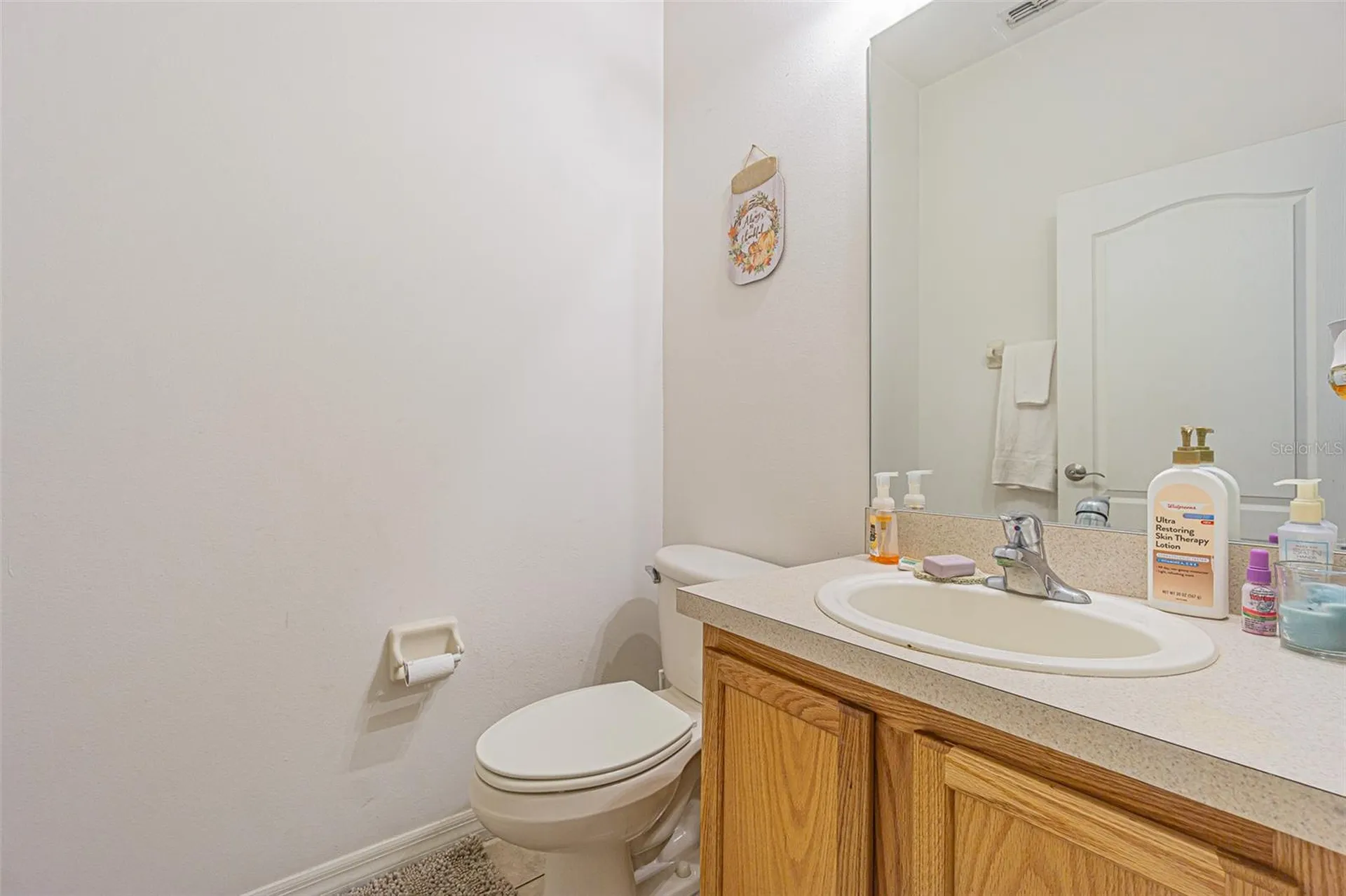 20326 Merry Oak Avenue Tampa FL 33647