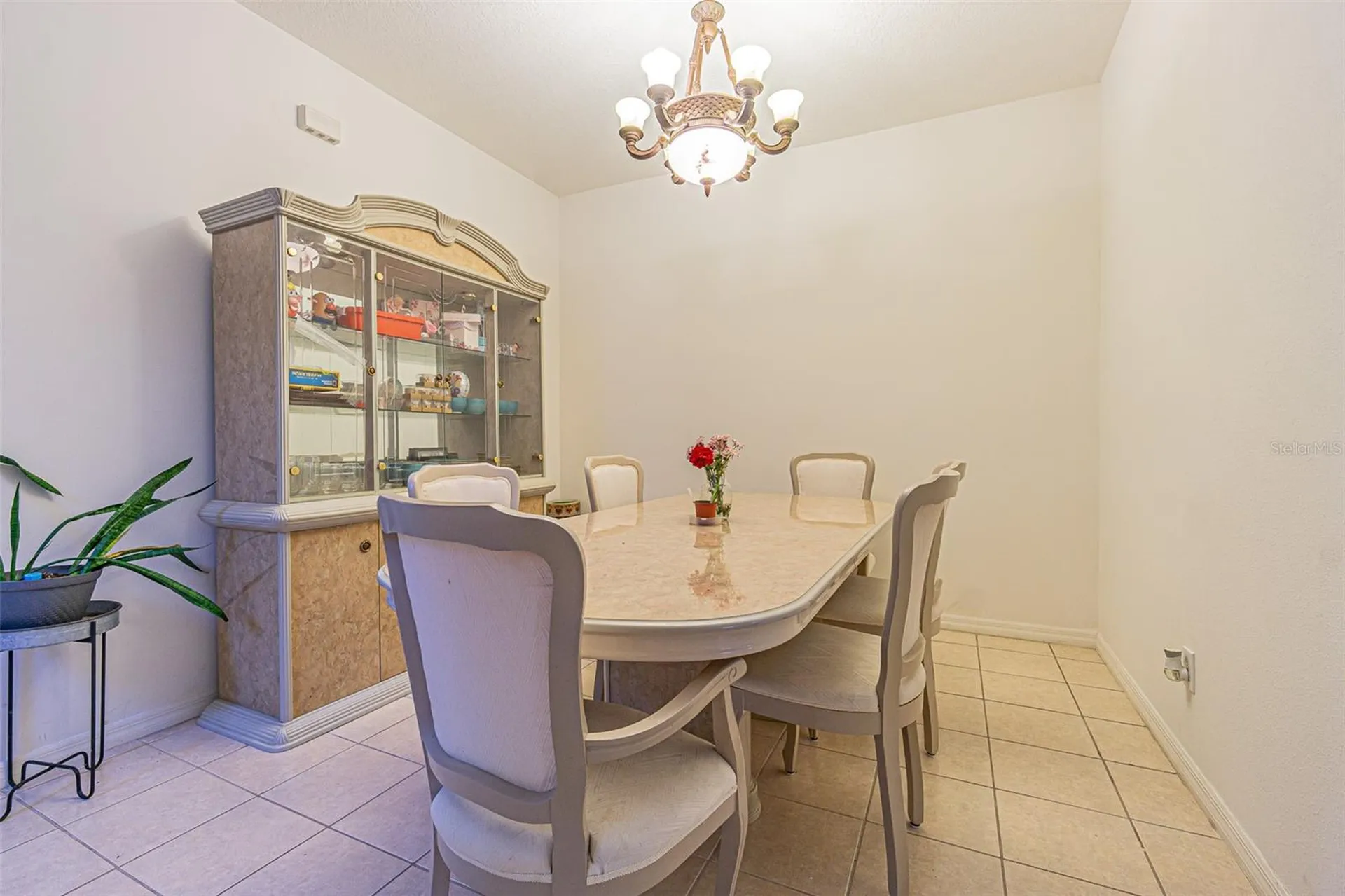 20326 Merry Oak Avenue Tampa FL 33647