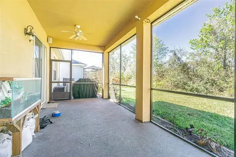 20326 Merry Oak Avenue Tampa FL 33647