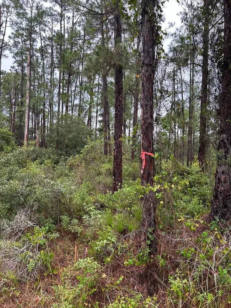 109 Hibiscus Drive Indian Lake Estates FL 33855