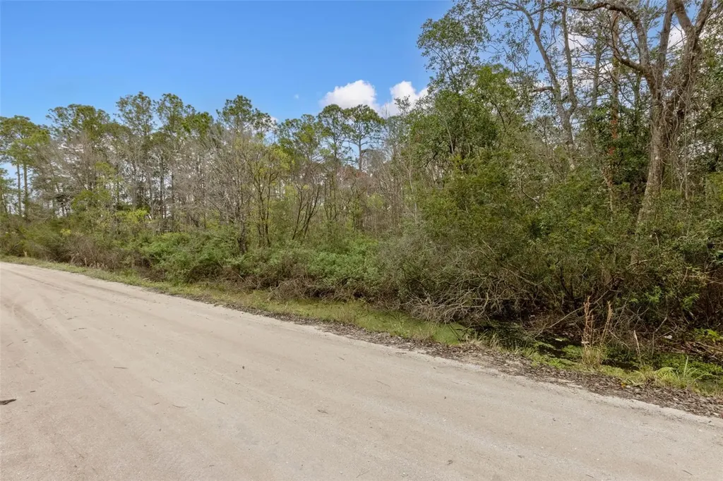 6TH Avenue Deland FL 32724