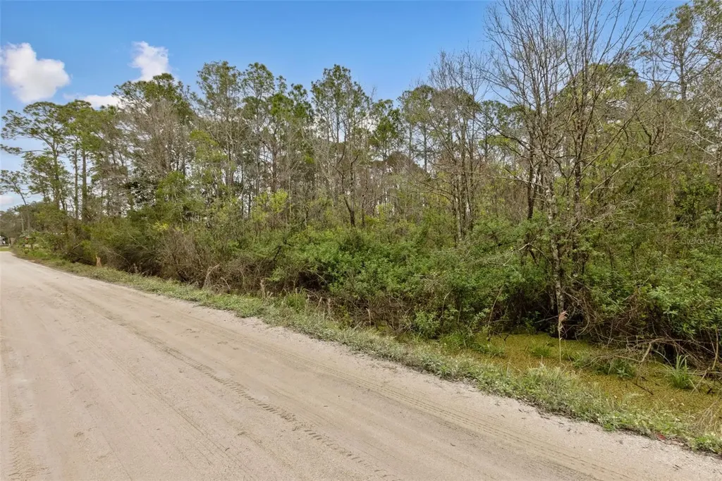 6TH Avenue Deland FL 32724