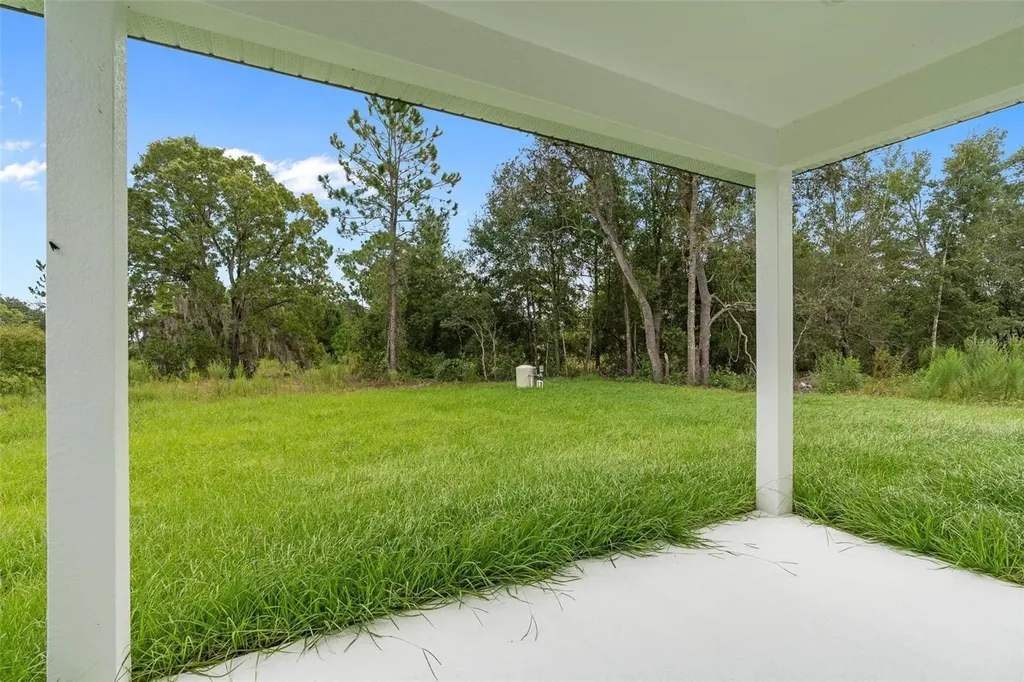 225 Malauka Run N Ocklawaha FL 32179