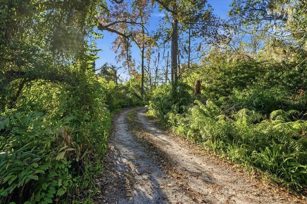 16921 Crawley Road Odessa FL 33556