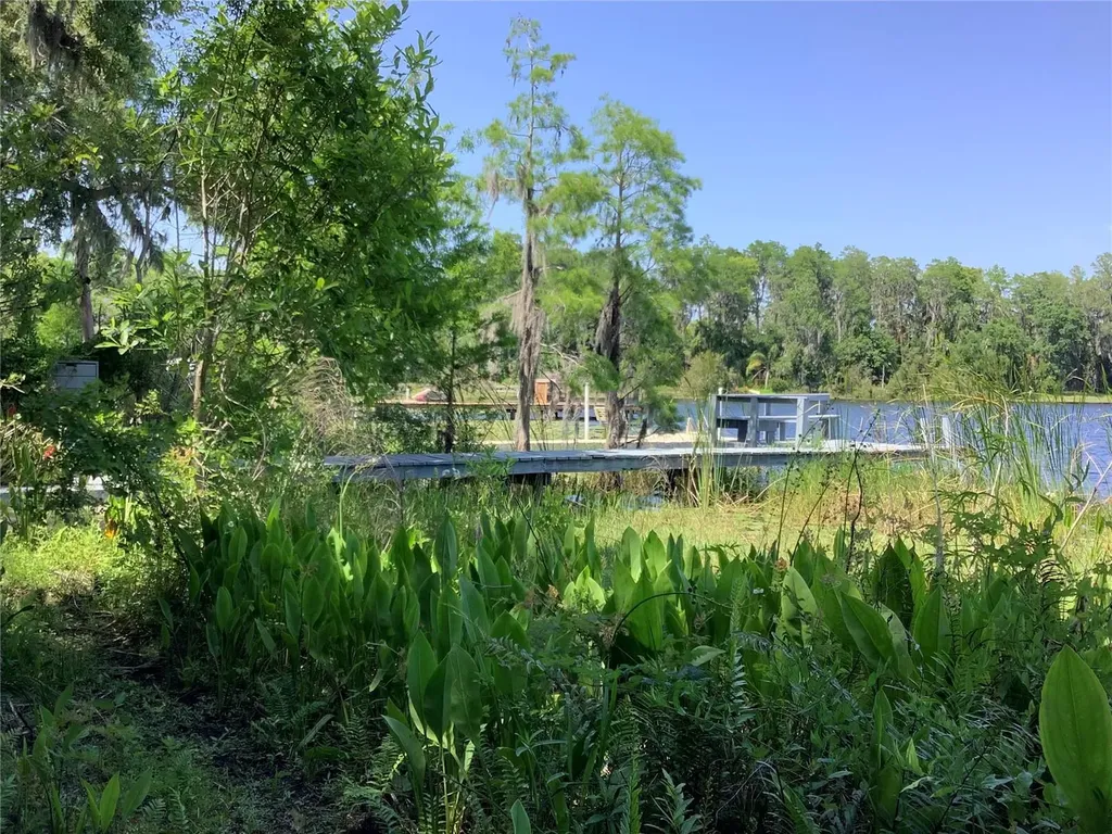 16921 Crawley Road Odessa FL 33556