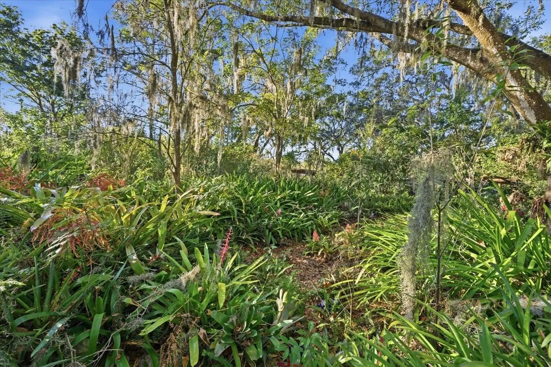 16921 Crawley Road Odessa FL 33556