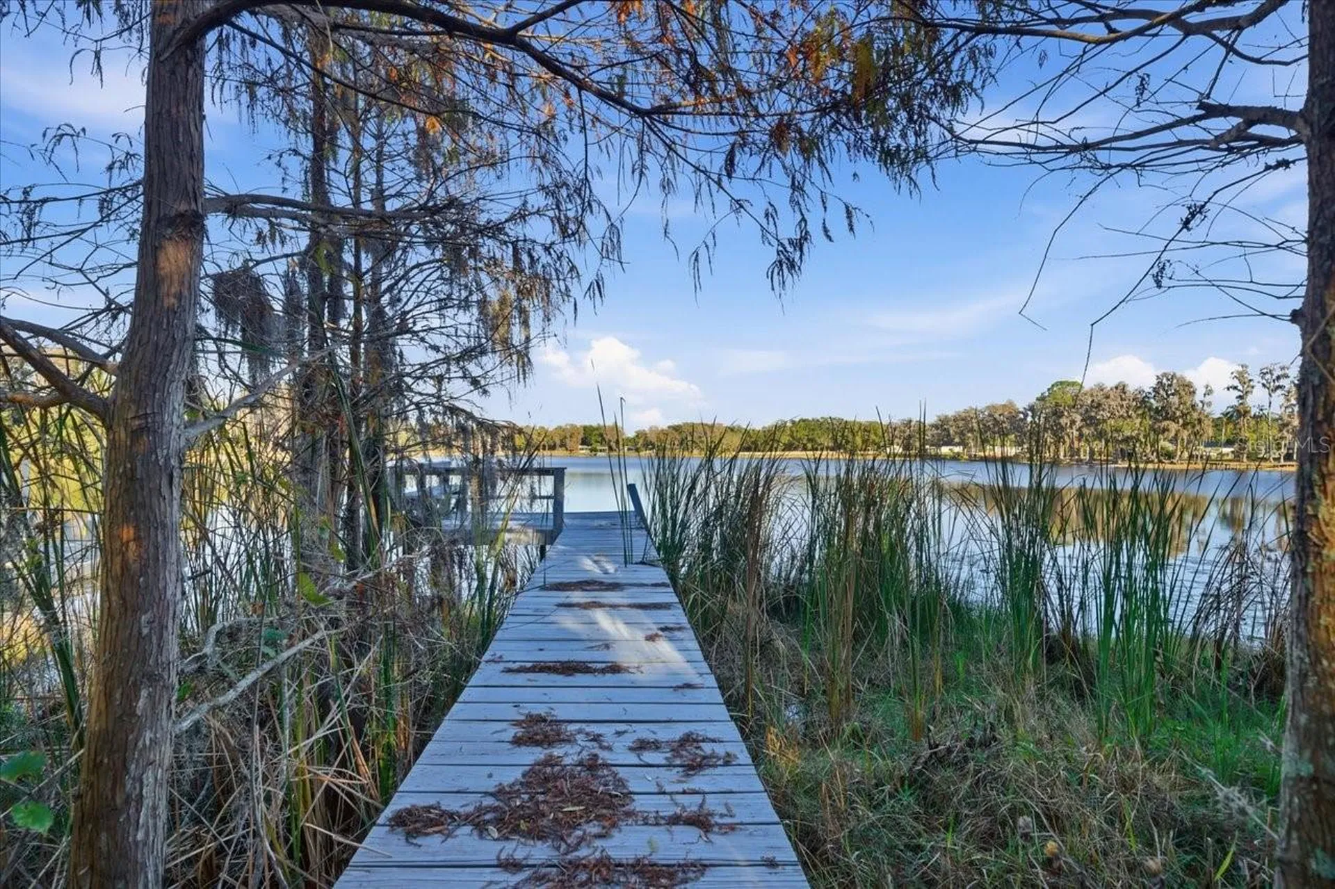 16921 Crawley Road Odessa FL 33556