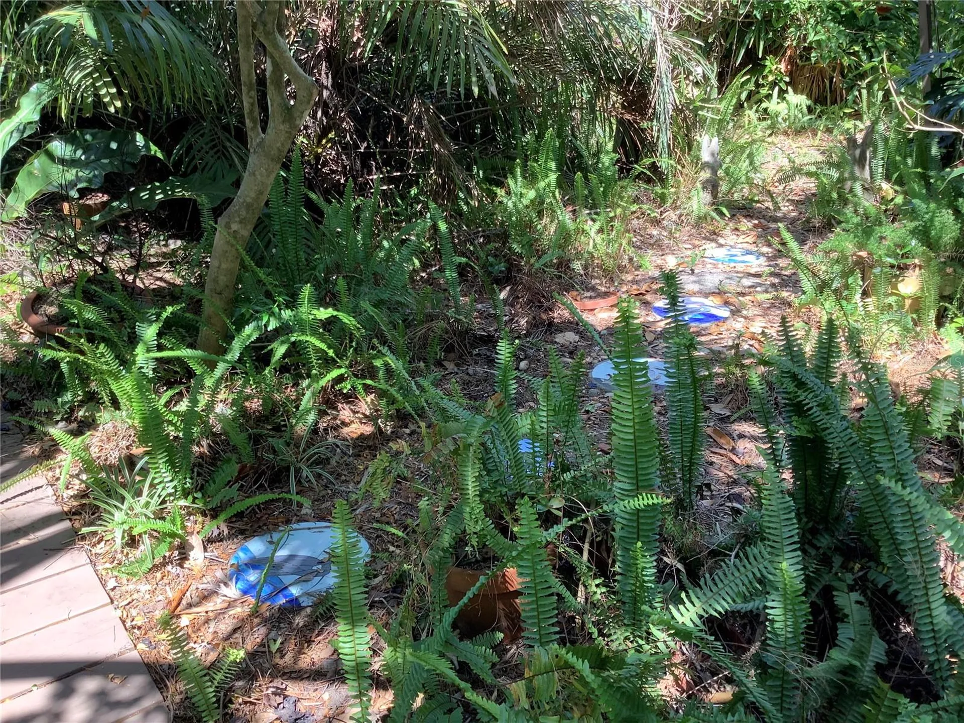 16921 Crawley Road Odessa FL 33556